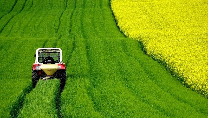 agricoltura