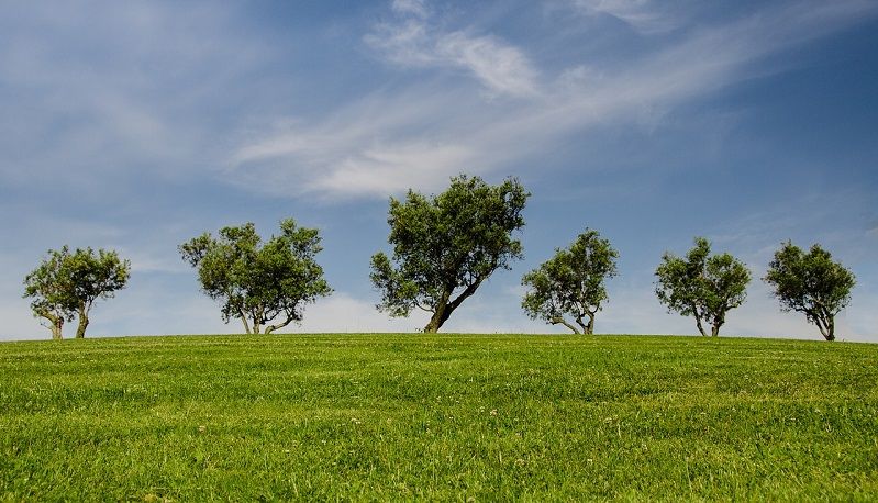 agricoltura